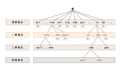 計(jì)算機(jī)網(wǎng)絡(luò)技術(shù)發(fā)展新篇章 軟件與網(wǎng)絡(luò)應(yīng)用技術(shù)的融合開發(fā)